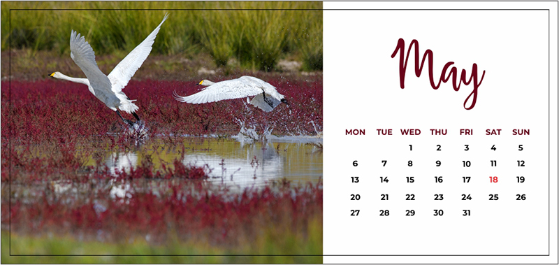 Mongolia events and festivals calendar